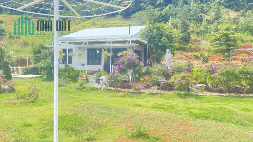 Bán đất kèm homestay hẻm ql20 hiệp an đức trọng