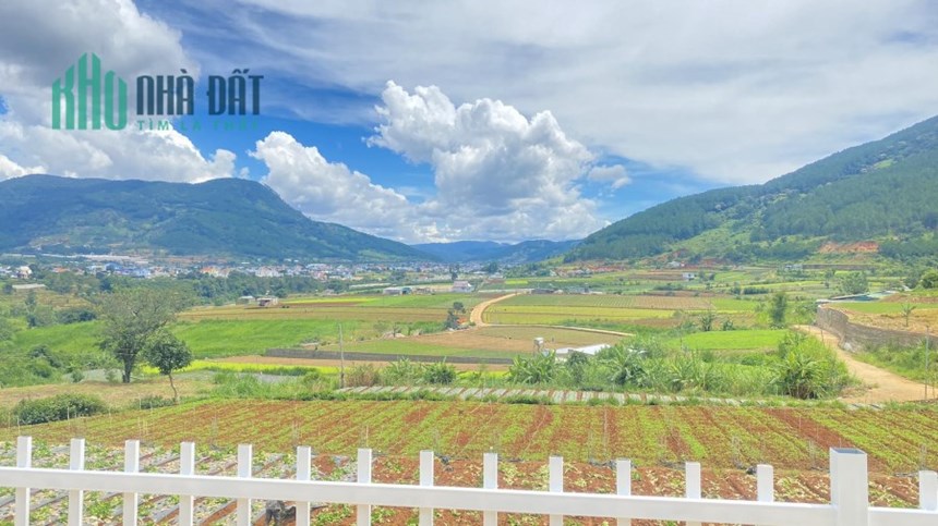 Bán đất kèm homestay hẻm ql20 hiệp an đức trọng