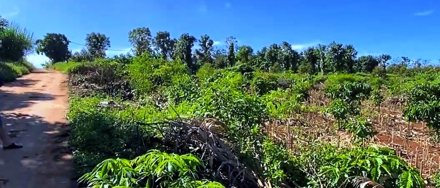 Bán 1000m2 vườn MT đường bê tông có 100m2 thổ cư, view đồi núi đẹp, 680 triệu. Lh:0917731808