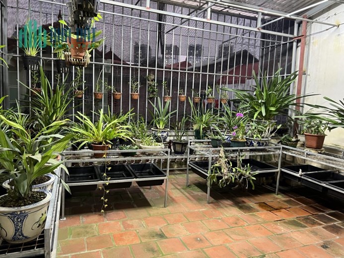 HOÀNG ĐẠO THÀNH - KIM GIANG - PHÂN LÔ Ô TÔ TRÁNH - 60M2 X 4 TẦNG - MT 5M - Ở VÀ KD TỐT