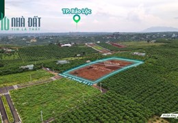 Nơi nghĩ dưỡng đầu tư lý tưởng tại Lộc Quảng, Bảo Lâm, Lâm Đồng