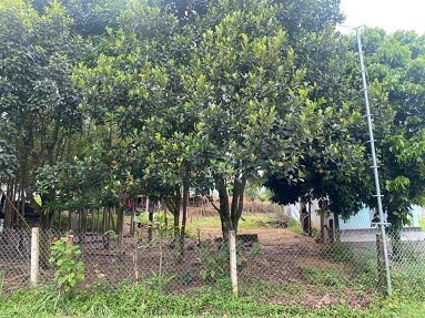 CẦN BÁN ĐẤT TẠI XÃ ĐĂK RƠ WA-TP KON TUM-TỈNH KON TUM