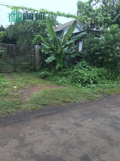 ✅Bán đất mặt tiền Nguyễn Xuân Nguyên kinh doanh được chỉ 2,250 tỷ