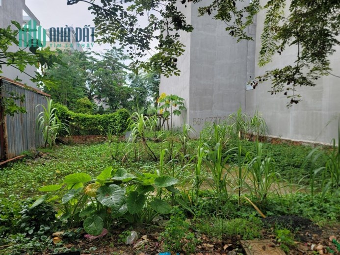 CHÍNH CHỦ BÁN ĐẤT MẶT TIỀN ĐƯỜNG 6m, SÁT ĐƯỜNG NGUYỄN XIỂN, TP THỦ ĐỨC (Q9 CŨ)