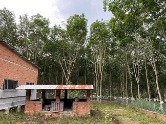 BÁN ĐẤT NGAY TRUNG TÂM XÃ NGỌK TỤ ,HUYỆN ĐẮK TÔ, TĨNH KOM TUM