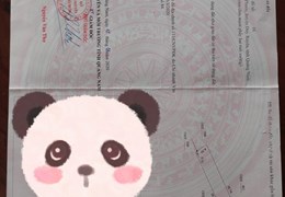 ĐẤT  ĐẸP - GIÁ TỐT - CHÍNH CHỦ  Cần Bán 3 LÔ ĐẤT TẠI  Huyện Duy Xuyên, Tỉnh Quảng Nam.