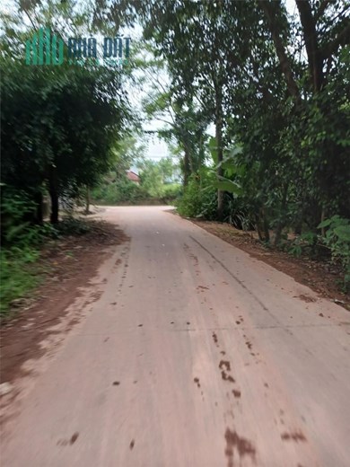 Bán Gấp: lô đất vuông như bánh trưng 178 m2 có 100m thổ cư tại nga my huyện phú bình Thái Nguyên