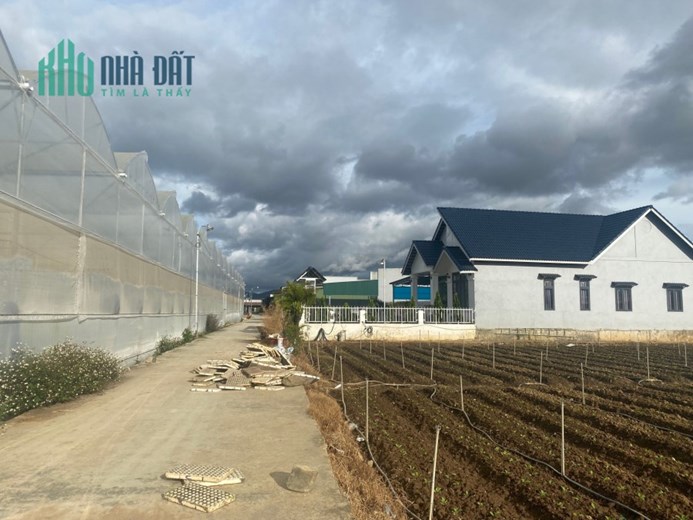 "Cơ hội sở hữu lô đất vàng đắc địa với giá cực sốc chỉ trong hôm nay"