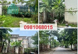 Chính chủ bán biệt thự BT2 khu đô thị Tân Tây Đô, Đan Phượng, 13,5 tỷ; 0981068015