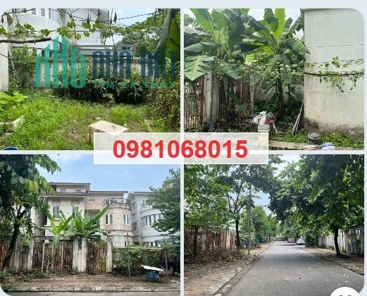 Chính chủ bán biệt thự BT2 khu đô thị Tân Tây Đô, Đan Phượng, 13,5 tỷ; 0981068015