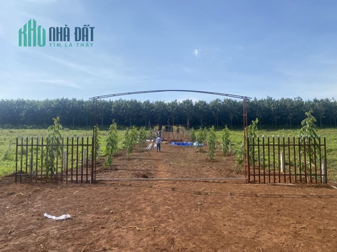 BÁN ĐẤT ĐỒNG NAI MẶT TIỀN ĐƯỜNG QUỐC LỘ 20 GIÁ CHỈ 1,4TR/M2