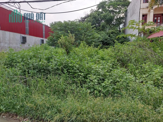 Bán đất Đại Thịnh, 100m2, mt6.5m, ô tô, KD, mặt phố, 5.1 tỷ, Mê Linh.