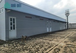 Bán nhà xưởng 8.000 m2 trong khu công nghiệp cụm công nghiệp Phú Thạnh, Nhơn Trạch, Đồng Nai