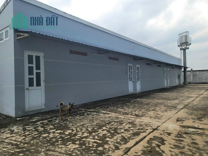 Bán nhà xưởng 8.000 m2 trong khu công nghiệp cụm công nghiệp Phú Thạnh, Nhơn Trạch, Đồng Nai