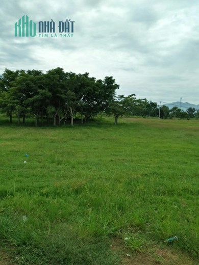 ĐẤT ĐẸP - GIÁ TỐT - Cần Bán Nhanh Lô Đất Vị Trí Đắc Địa Tại Xã Nhị Hà , Thuận Nam