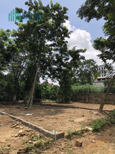 Sổ mới tinh chủ gửi bán 100m2 tại thôn 2 tân xã tổng dt 100m2 mặt tiền 7m2  Giá 2 tỷ gọi ngay em