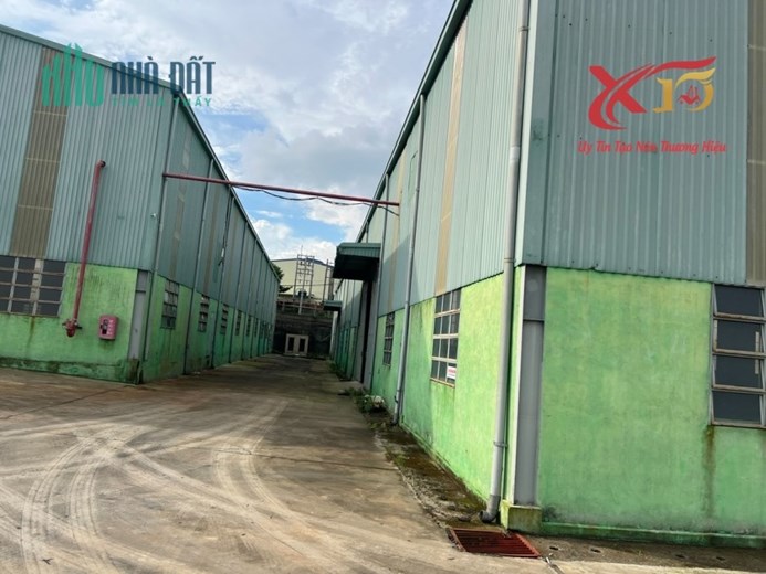 Cho thuê xưởng 7200m2 giá siêu rẻ Hố Nai 3 Trảng Bom Đồng Nai