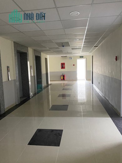 Bán GẤP căn hộ Cường Thuận 1PN giá đầu tư chỉ 750tr