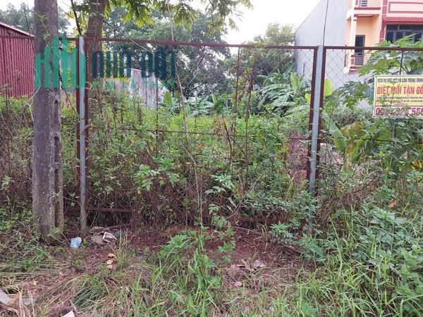 Cho thuê MBKD, Kho xưởng, mặt phố, 1000m2, C4, 12tr Mê Linh.