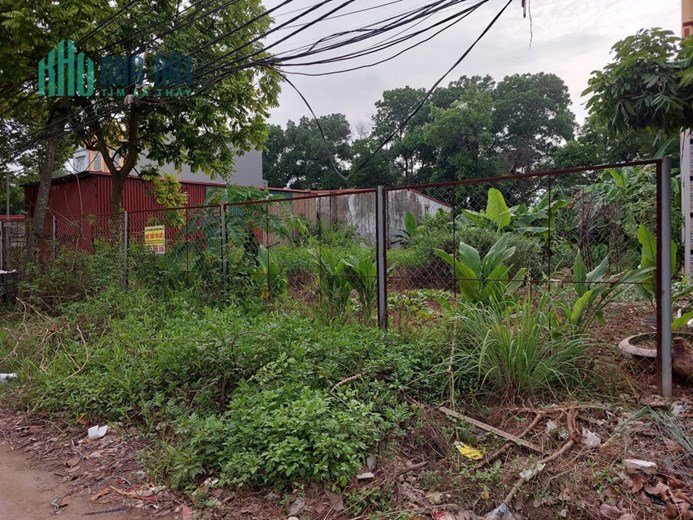 Cho thuê MBKD, Kho xưởng, mặt phố, 1000m2, C4, 12tr Mê Linh.