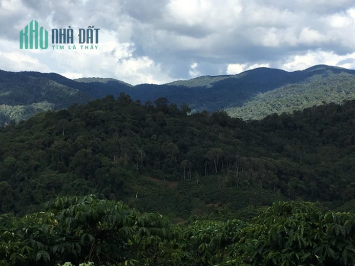 Chính chủ bán thửa đất Lộc An, Bảo Lâm, Lâm Đồng, khi hậu mát mẻ, xe tải đến tận nơi, 1,6 ha, giá