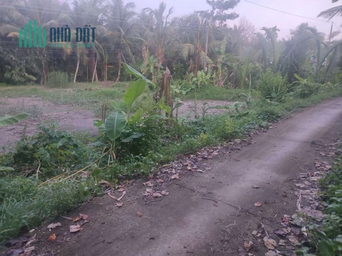 CHÍNH CHỦ CẦN BÁN ĐẤT VỊ TRÍ MẶT TIỀN ĐƯỜNG XE BA GÁC.