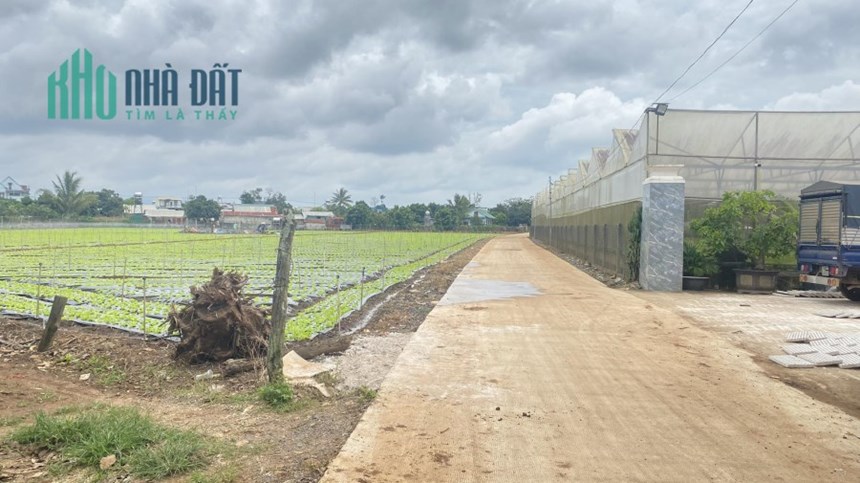 Bán lô đất hẻm gần ngã 3 tân hội đức trọng lâm đồng 1,85 tỷ