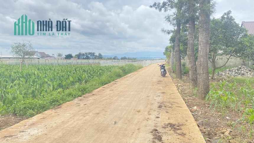 Bán lô đất hẻm gần ngã 3 tân hội đức trọng lâm đồng 1,85 tỷ