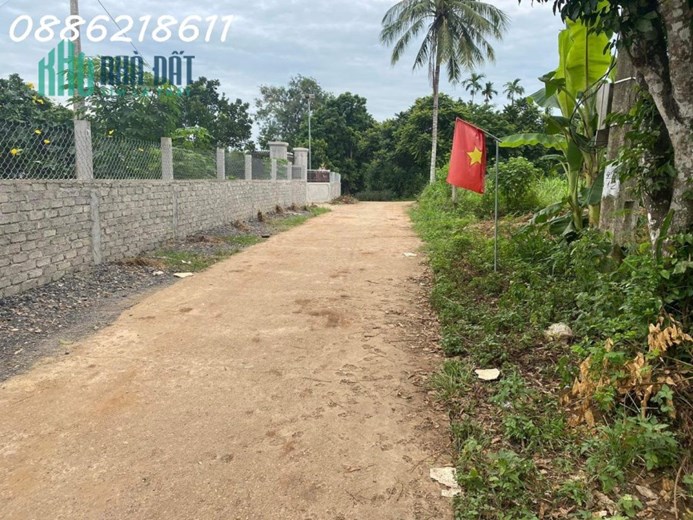 Cần tiền bán đất làng Yên Lâm( làng Lầm) xã Nghĩa Lâm huyện Nghĩ Đàn Nghệ An