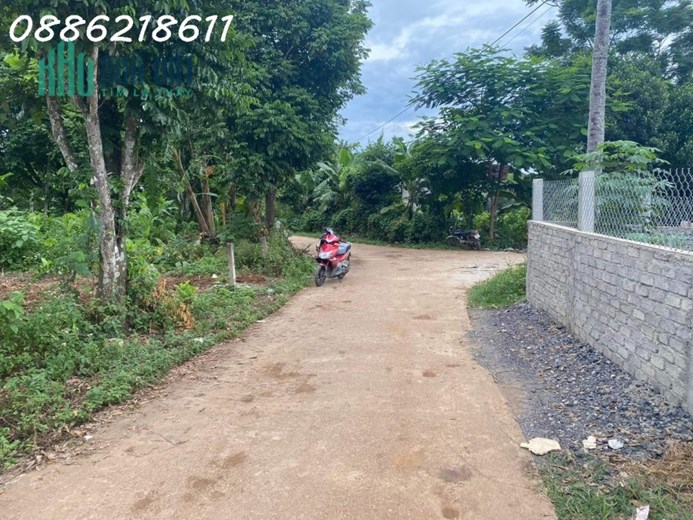 Cần tiền bán đất làng Yên Lâm( làng Lầm) xã Nghĩa Lâm huyện Nghĩ Đàn Nghệ An