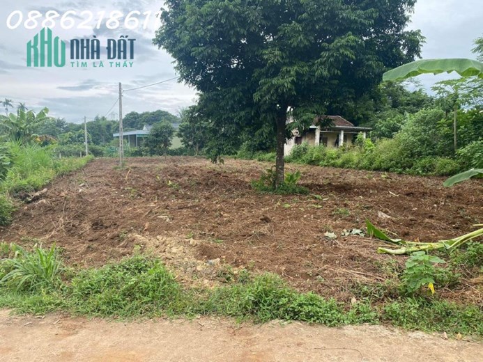 Cần tiền bán đất làng Yên Lâm( làng Lầm) xã Nghĩa Lâm huyện Nghĩ Đàn Nghệ An