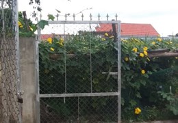 BÁN ĐẤT QUANG MINH, QUANG PHONG, THỊ XÃ THÁI HÒA