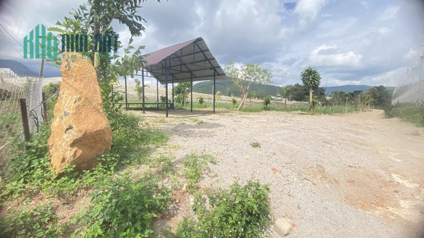 3600m2 đất hẻm ql27, hiệp thạnh phi nôm đức trọng chốt 6 tỷ