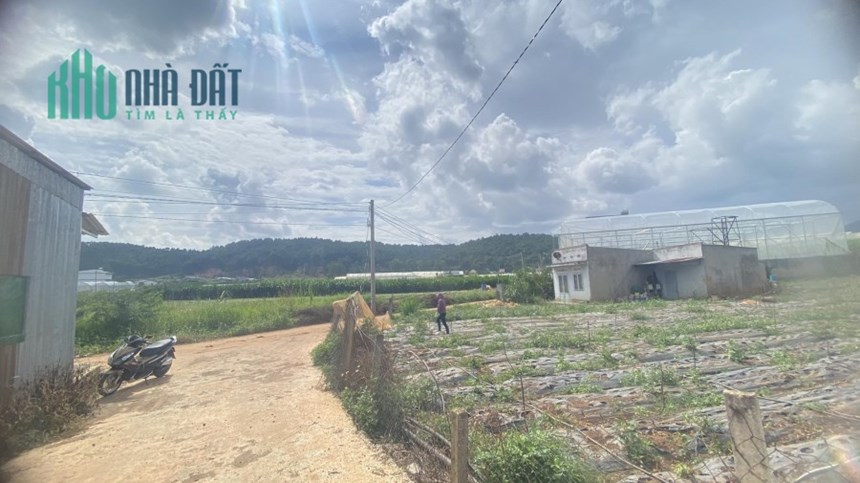 3600m2 đất hẻm ql27, hiệp thạnh phi nôm đức trọng chốt 6 tỷ