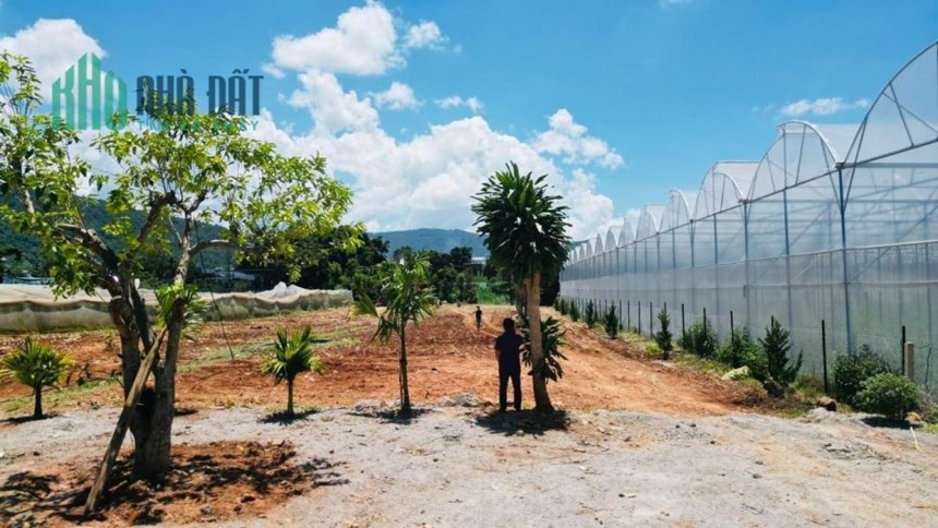 3600m2 đất hẻm ql27, hiệp thạnh phi nôm đức trọng chốt 6 tỷ