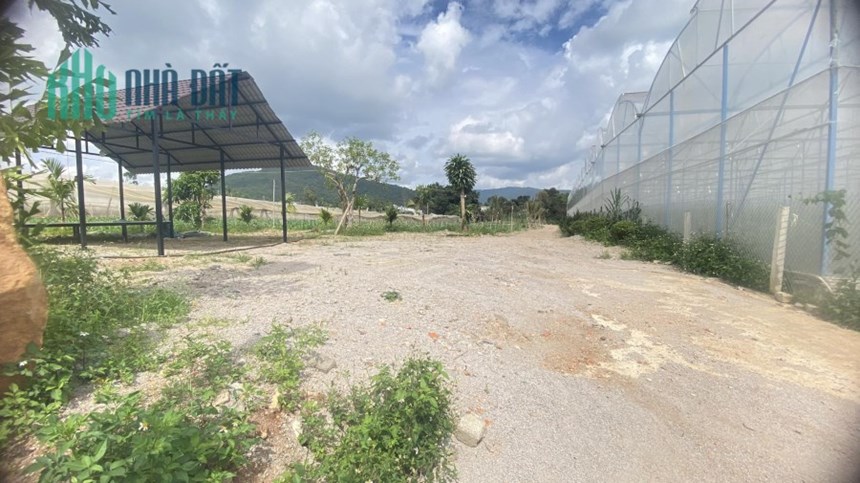 3600m2 đất hẻm ql27, hiệp thạnh phi nôm đức trọng chốt 6 tỷ