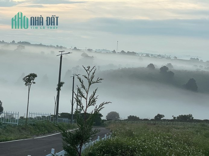 Nơi săn mây đầu tư nghỉ dưỡng lý tưởng Lộc Ngãi khu dân cư hiện hữu