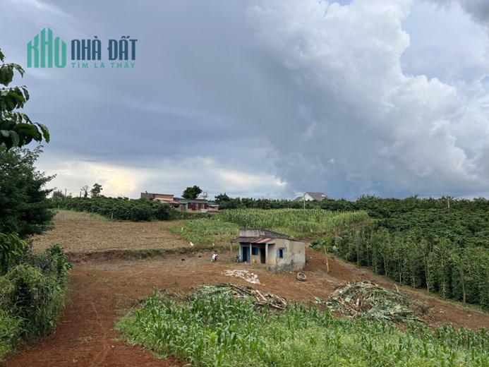 Nơi săn mây đầu tư nghỉ dưỡng lý tưởng Lộc Ngãi khu dân cư hiện hữu