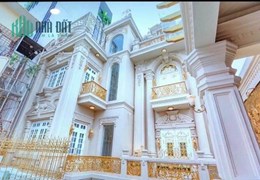 Bán Gấp Biệt Thự Đẳng Cấp Như Mới Nguyễn Đình Chiểu, P ĐaKao Quận 1 Giá 320 Tỷ Thương Lượng