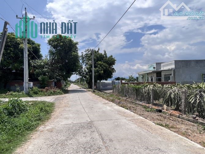 cần bán đất đấu giá, full thổ sẵn sổ, đường 29m, giá từ 6 triệu/m2
