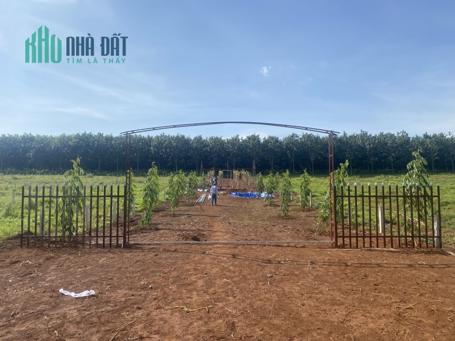 Giá rẻ cực sốc tại nằm tiền đường QL20 Định Quán- Đồng Nai.