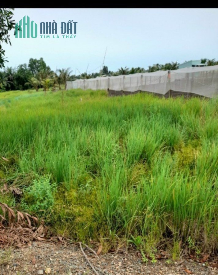 Bán 146m2 thổ cư huyện Cần Giuộc, SHR chỉ 9tr/m2. Lh;0932637343.