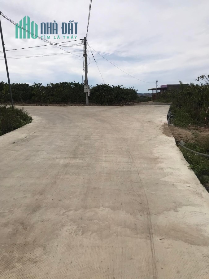 Bán đất  Ninh Gia, Đức Trọng, Lâm Đồng, 1,3ha giá 14 ty