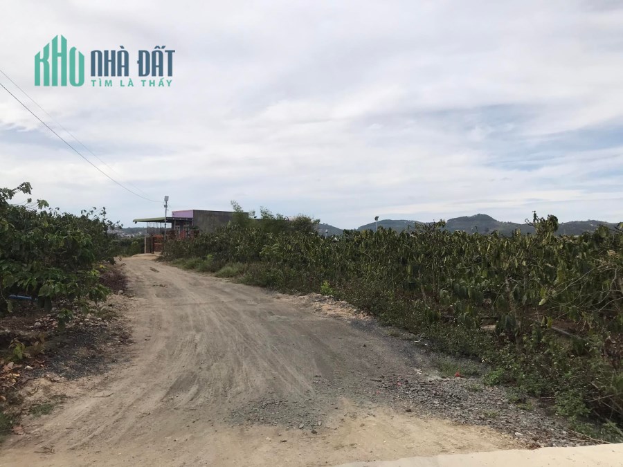 Bán đất  Ninh Gia, Đức Trọng, Lâm Đồng, 1,3ha giá 14 ty