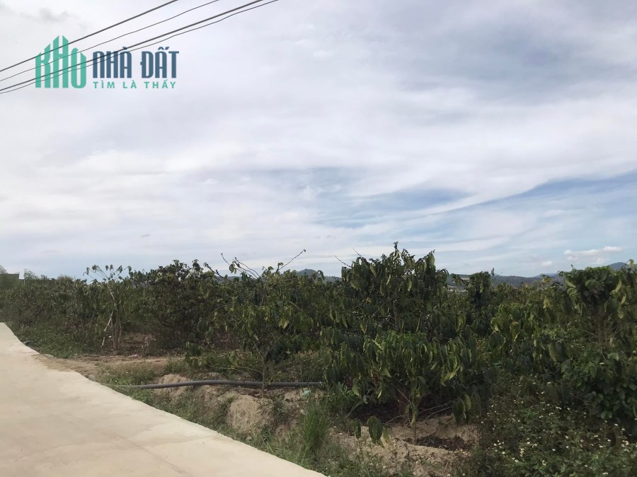 Bán đất  Ninh Gia, Đức Trọng, Lâm Đồng, 1,3ha giá 14 ty