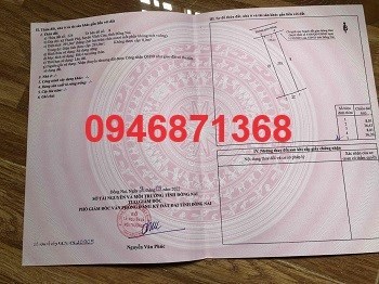 ⭐Chính chủ bán 291m2 đất thổ cư SHR ngay Hương Lộ 6, Thạnh Phú, Vĩnh Cửu, Đồng Nai, 2,6 tỷ;
