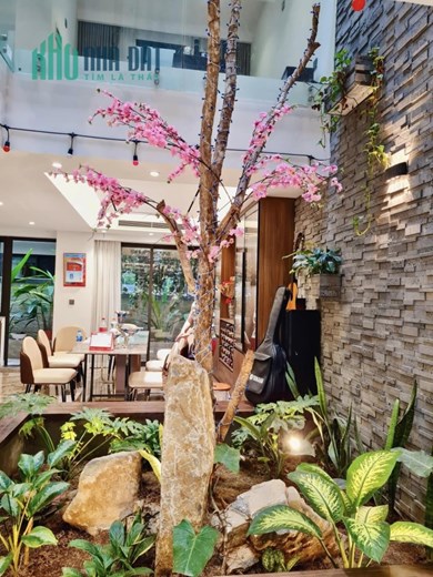 RẺ CHƯA ? Bán biệt thự Đội Cấn Ba Đình 239mx4T oto tránh vỉa hè MT 10m 29 ty mua nhanh