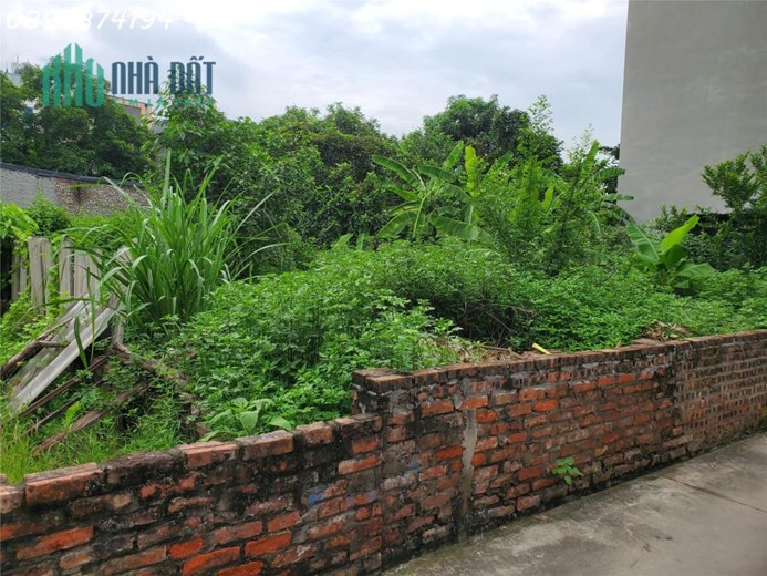 Đất Vân nội còn 1 ô thổ cư đẹp, giá cực tốt công khai 37tr/m2