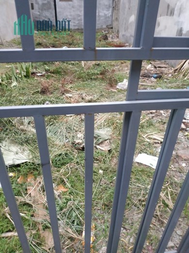 Bán đất Quang Trung, 60m2, gần Bến Xe Yên Nghĩa, Hà Đông, 1,96 tỷ
