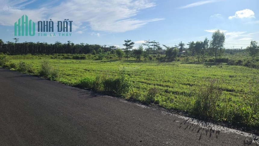Bán lỗ 2.763m2 đất, 87m Mặt Tiền đường nhựa, cách Tỉnh Lộ 765 chỉ 500m, KCN Đá Bạc chỉ 3km
